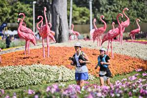 BIB: 
                            <button type="button" onclick="openModal(27793639)" class="btn btn-primary btn-sm float-right btn-popup" data-toggle="modal" data-target=".modal-high-quality">
                        <i class="fas fa-shopping-cart"></i> Add to Cart
                    </button>
                                            <button type="button" onclick="isThisMe(27793639, true)" class="btn btn-success btn-sm float-right btn-popup btn-isme hidden" data-toggle="tooltip" data-placement="bottom" title="นี่คือรูปของคุณใช่ไหม คลิกที่นี่เพื่อเอาเข้าอัลบั้ม">
                        <i class="fas fa-plus"></i> Add to album
                    </button>
                    <button type="button" onclick="isThisMe(27793639, false)" class="btn btn-warning btn-sm float-right btn-popup btn-isnotme hidden">
                        <i class="fas fa-ban"></i> Remove from album
                    </button>